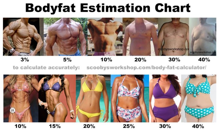 visual-bodyfat-estimation-chart-men-women